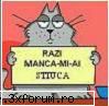 Cele mai tari poze - Laur4all - FUN
