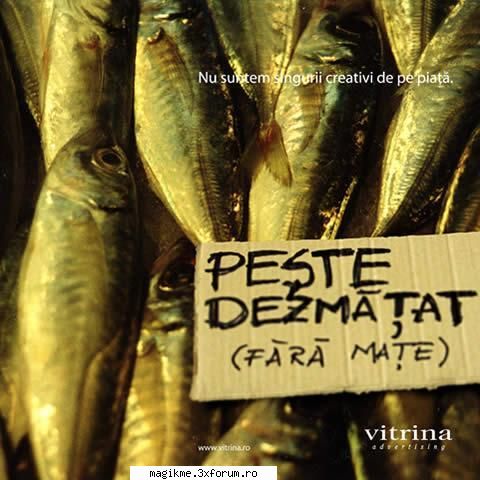 he he:rotfl: cele mai tari poze