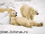 Cele mai tari poze - Asta e obosit dupa o zi de stat degeaba - FUN
