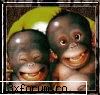 Clasamente - Suk3r - Muzika